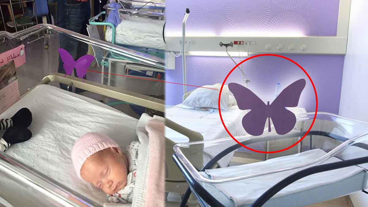 Maternité : que symbolise le papillon violet sur les berceaux ?