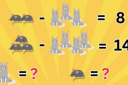 Défi pour les intellectuels : Pouvez-vous résoudre ce casse-tête mathématique de la souris et du chat ?