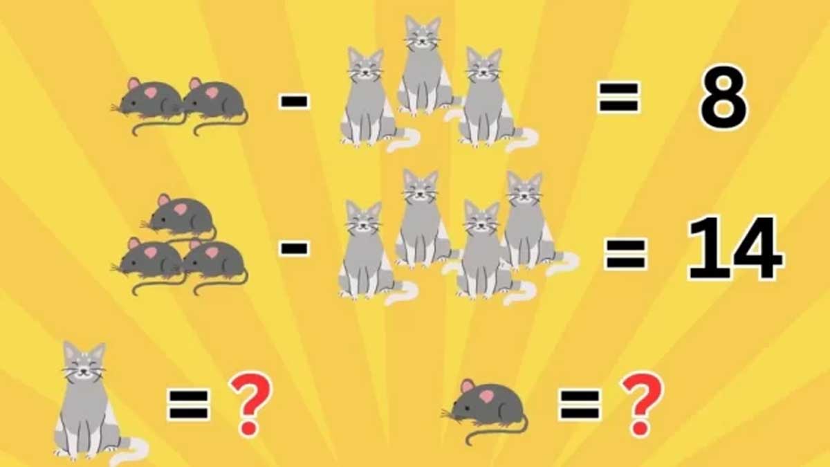 Défi pour les intellectuels : Pouvez-vous résoudre ce casse-tête mathématique de la souris et du chat ?