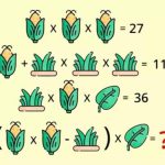 Énigme mathématique de haut niveau : plus de 50% ont échoué à ce casse-tête