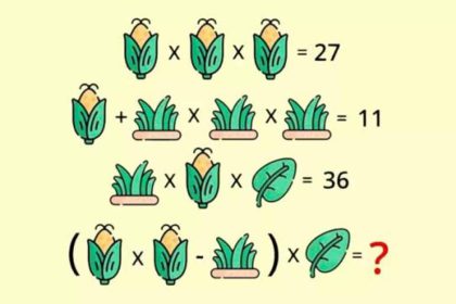 Énigme mathématique de haut niveau : plus de 50% ont échoué à ce casse-tête