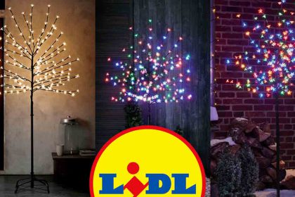 Sapin de Noël : Lidl rafle les ventes avec son arbre lumineux avec 200 LED