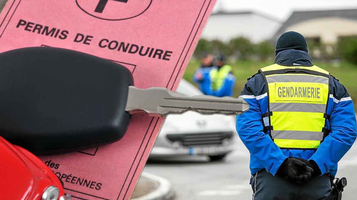 Vers une suspension automatique du permis tous les 15 ans : Une réforme radicale en vue ?