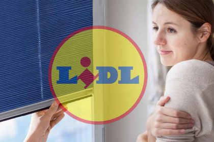 Lidl sort le store thermique parfait pour isoler votre logement du froid et de la chaleur