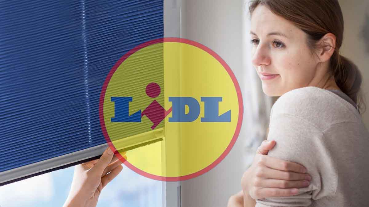 Lidl sort le store thermique parfait pour isoler votre logement du froid et de la chaleur