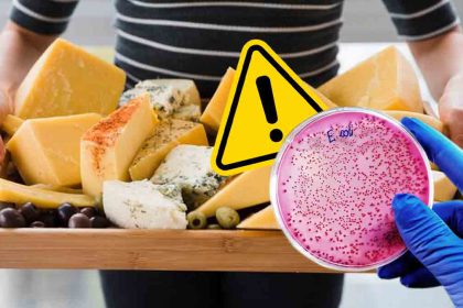 Bactérie E. coli : ces fromages à éviter à tout prix pour vos enfants