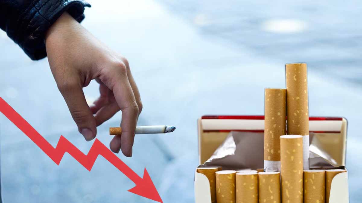 Baisse des prix du tabac : découvrez quels paquets de cigarettes sont concernés dès le 1er mars