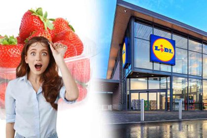 Lidl : une femme trouve une étrange créature dans ses fraises !