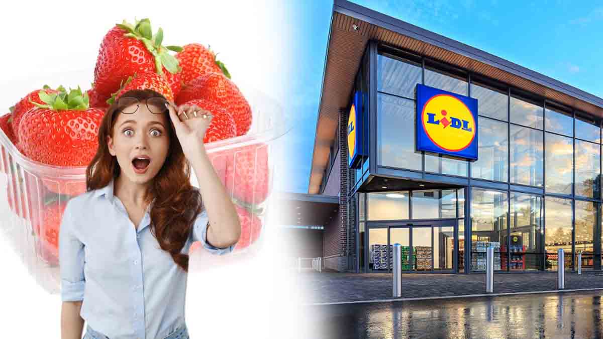 Lidl : une femme trouve une étrange créature dans ses fraises !