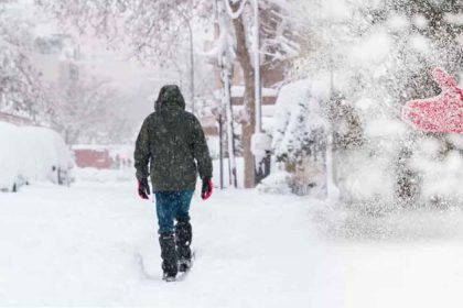 Météo : existe-t-il des risques de gel ces prochains jours ? Les prévisions du week-end