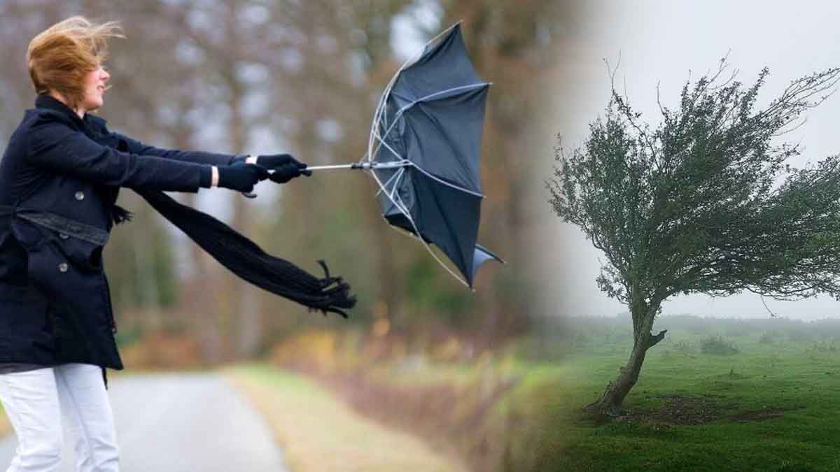 Pluies intenses, coup de vent, fortes vagues... Fin de semaine agitée en France, ce week-end