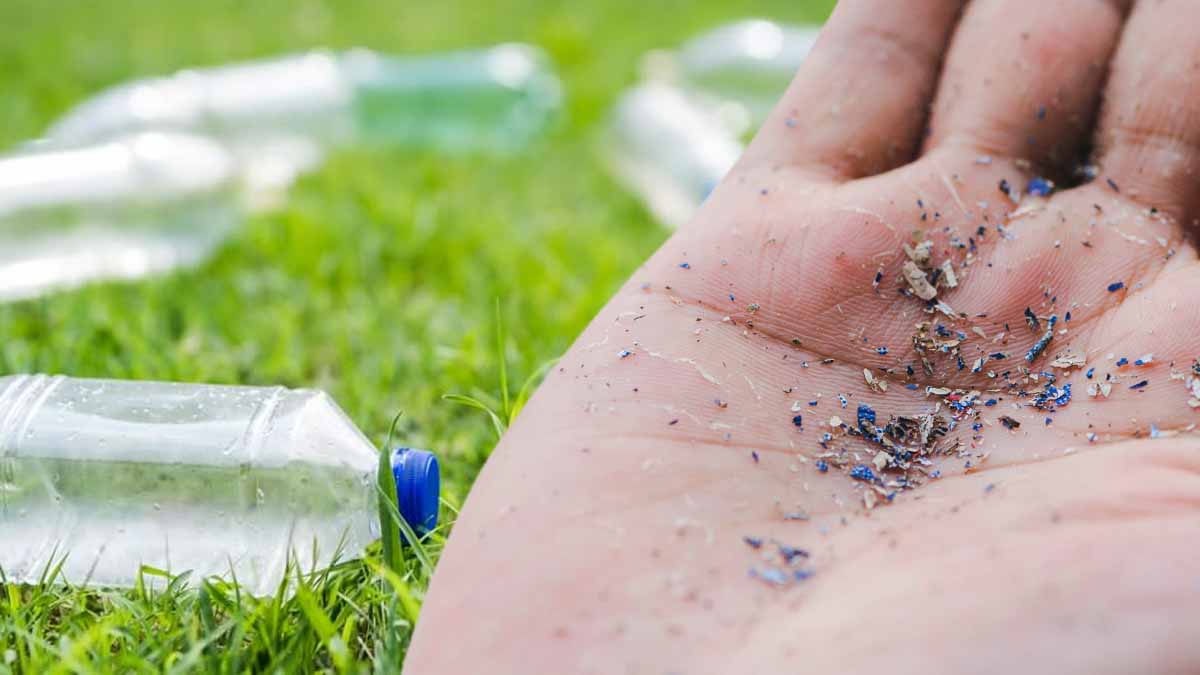 Découvrez cette astuce simple et efficace pour nettoyer votre eau des microplastiques