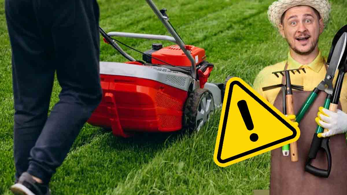 Jardiniers, gare à l'amende après le 15 mars !