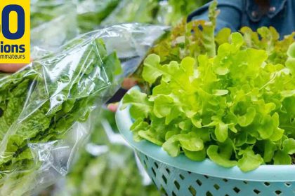 Les meilleures salades en sachet du supermarché selon 60 Millions de consommateurs