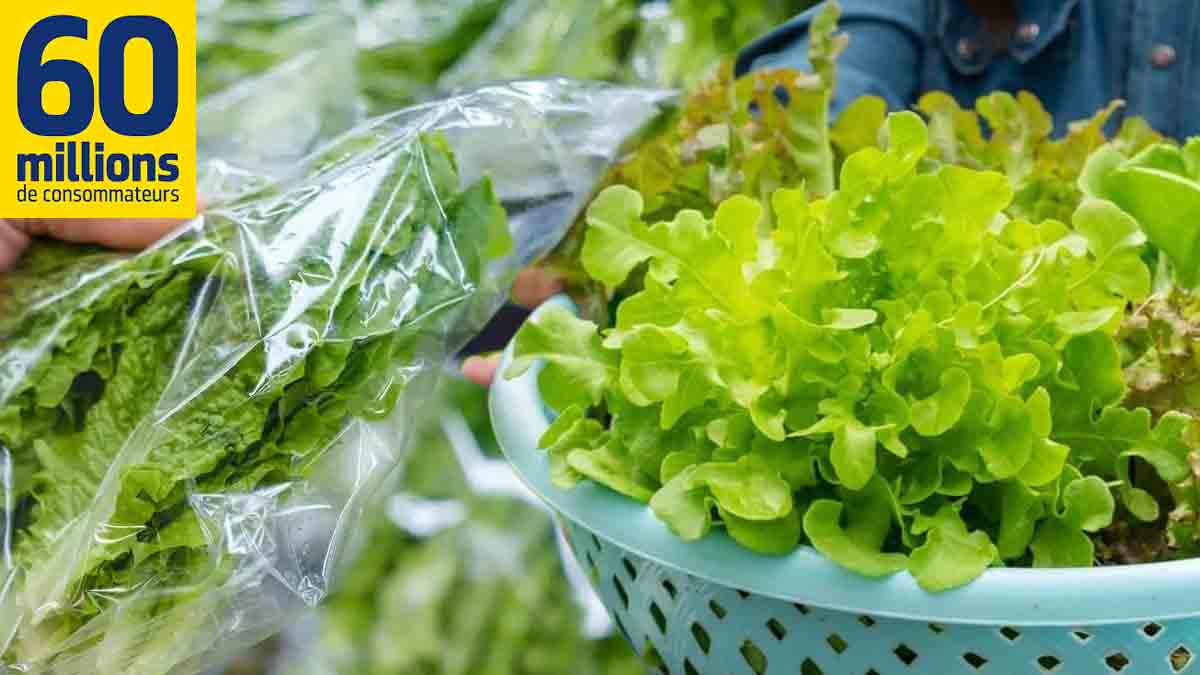 Les meilleures salades en sachet du supermarché selon 60 Millions de consommateurs