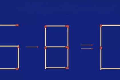 Puzzle d'allumettes : seuls les génies trouveront la solution à ce casse-tête 5-8 = 0