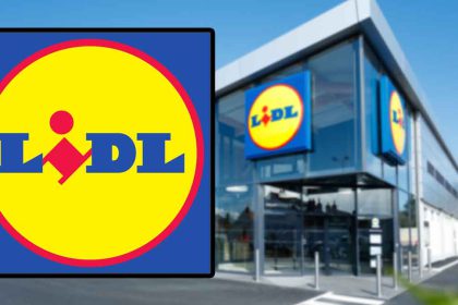 Découvrez cette célèbre friteuse à air commercialisée à prix cassé chez Lidl