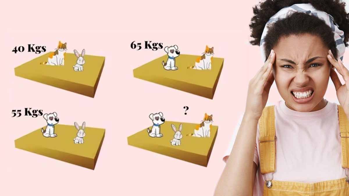 Énigme mathématique : pouvez-vous deviner le poids de chaque animal en aussi peu que 25 secondes ?