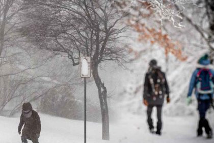 Le froid s'installe : gelées, neige et perturbation attendues pour ce début de semaine