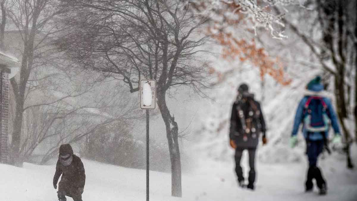 Le froid s'installe : gelées, neige et perturbation attendues pour ce début de semaine