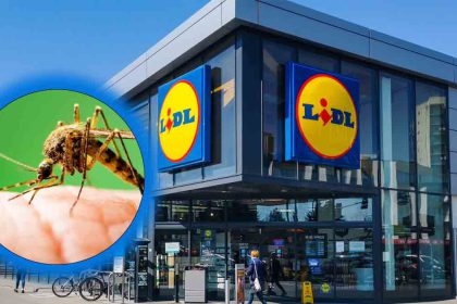 Lidl sort l'ultime accessoire qui va exterminer tous les moustiques chez vous