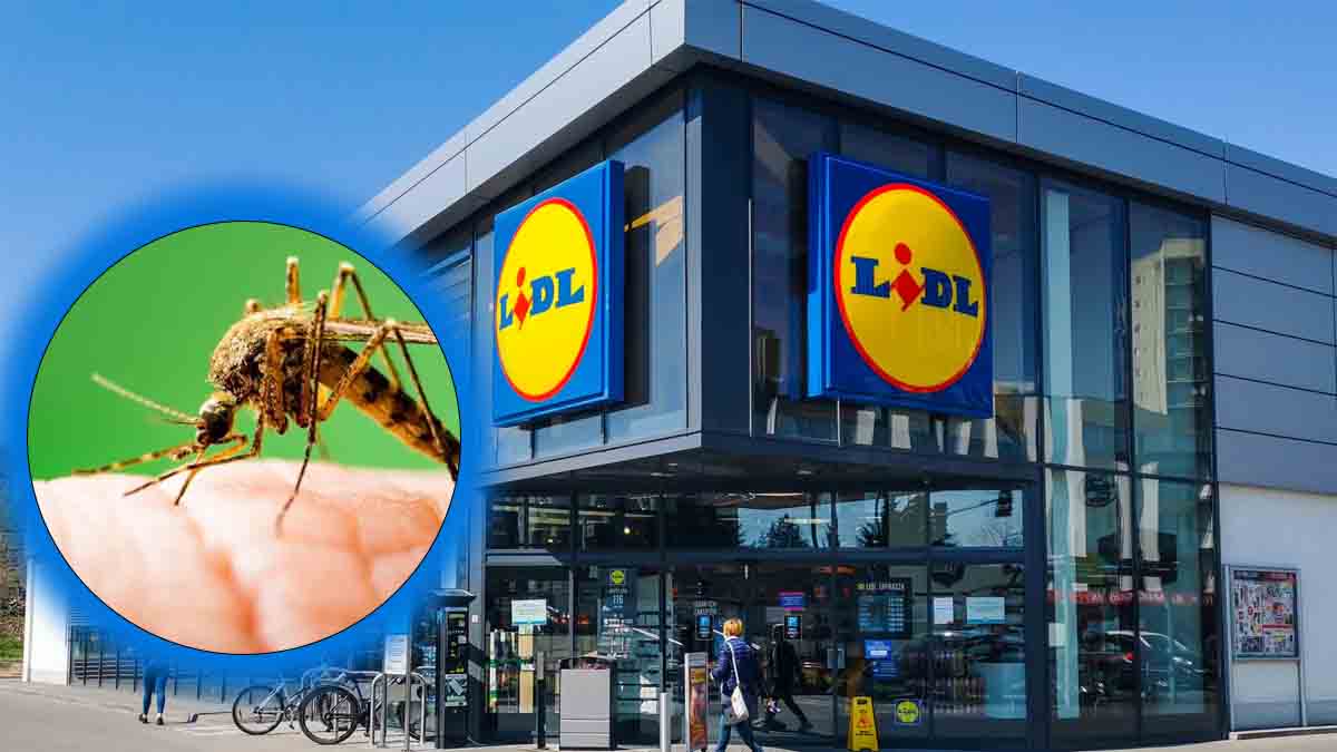 Lidl sort l'ultime accessoire qui va exterminer tous les moustiques chez vous