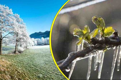 Météo : prudence, des gelées pourraient toucher ces régions après la dépression Renata