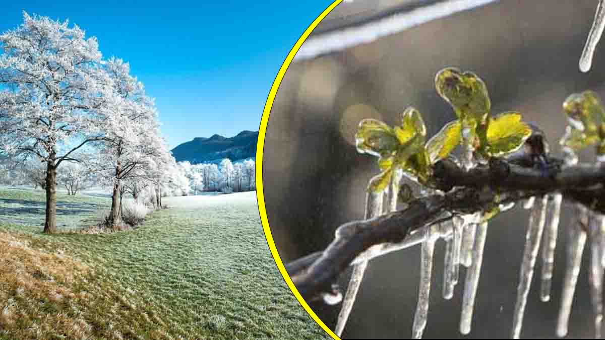 Météo : prudence, des gelées pourraient toucher ces régions après la dépression Renata