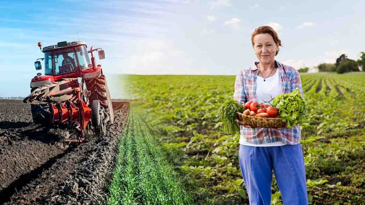 Moins de 400€ de retraite par mois après 40 ans de travail pour cette femme d'agriculteur