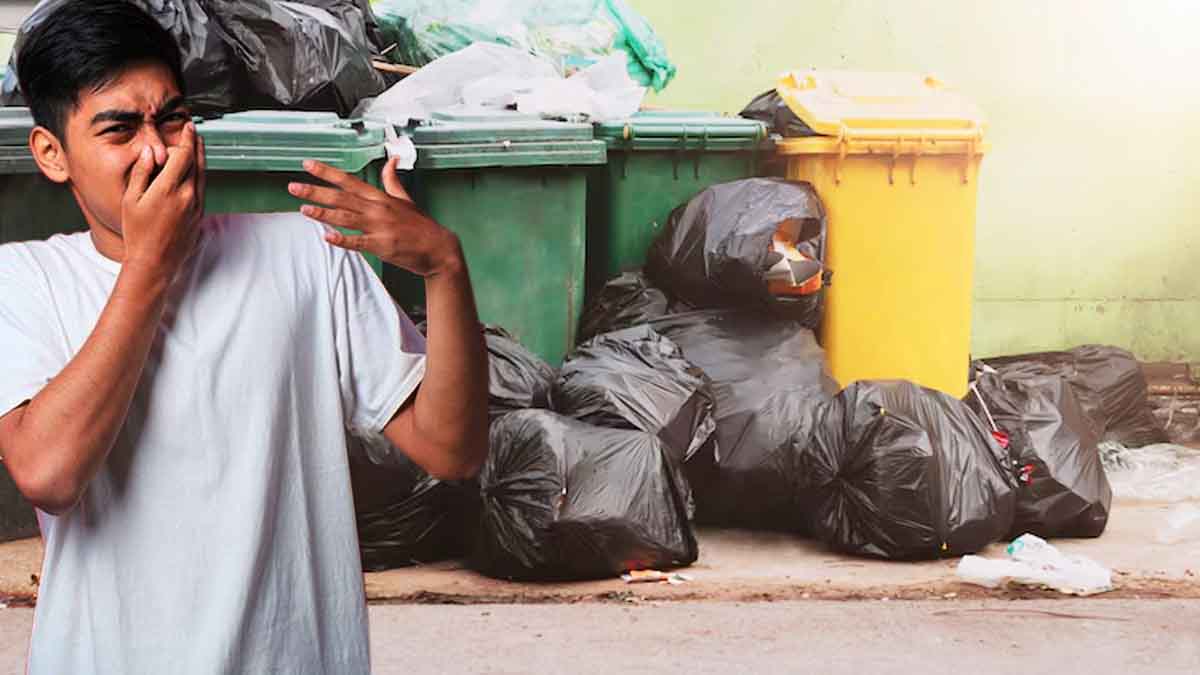 Plus jamais de poubelles qui sentent mauvais : l'astuce futée qui cartonne sur internet