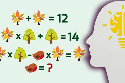 Casse-tête mathématique nature : serez-vous à la hauteur de cette énigme ? Trouvez la réponse en 10 secondes