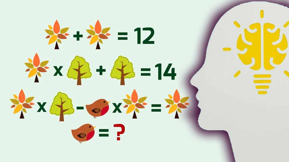 Casse-tête mathématique nature : serez-vous à la hauteur de cette énigme ? Trouvez la réponse en 10 secondes