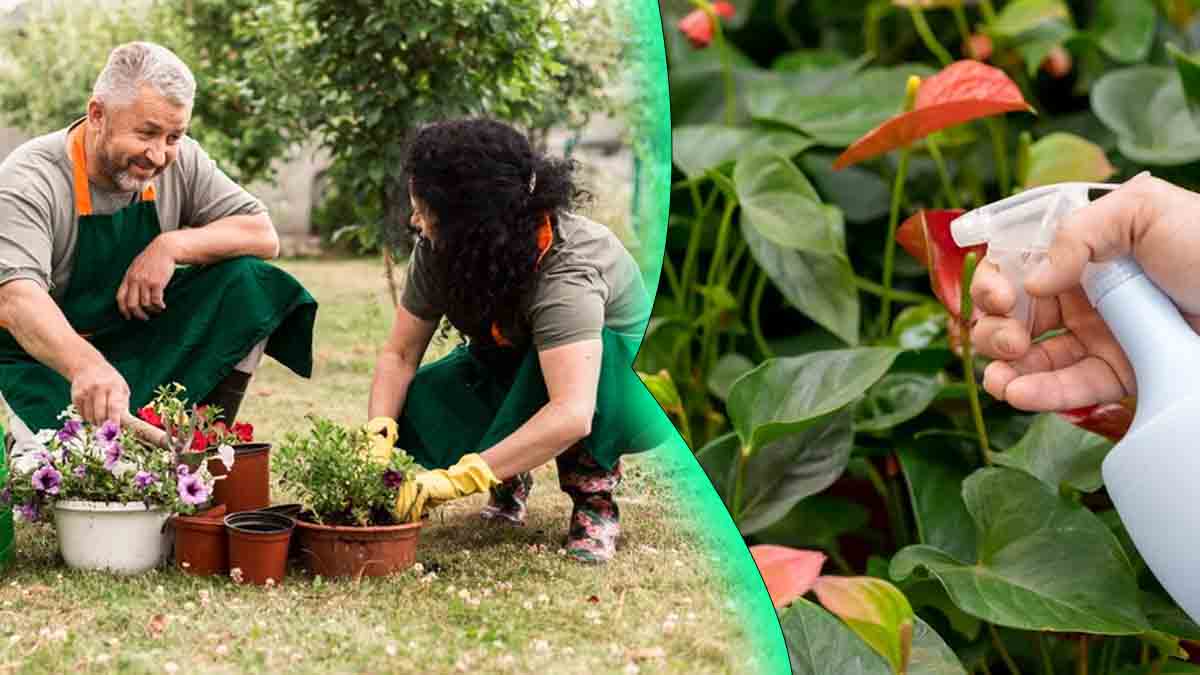 Jardin : cette boisson très appréciée est un répulsif redoutable contre les nuisibles