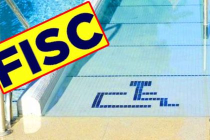 L'IA du fisc déconne, l'intelligence artificielle confond les places handicapées avec des piscines