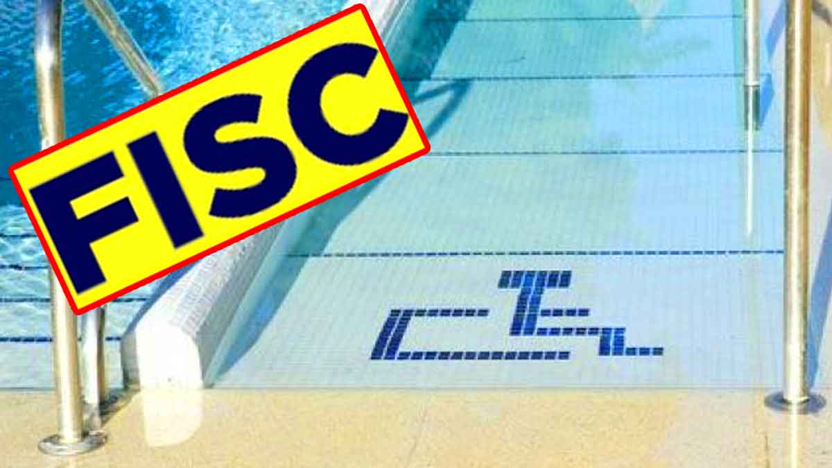 L'IA du fisc déconne, l'intelligence artificielle confond les places handicapées avec des piscines