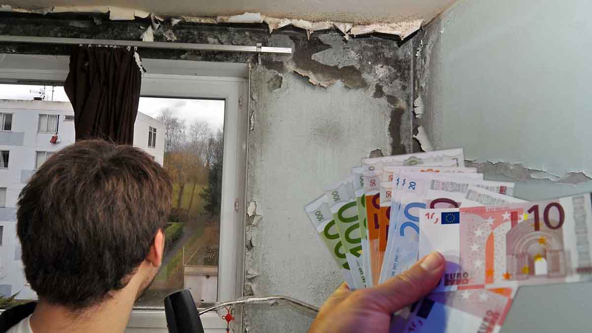 Logement insalubre : un propriétaire sommé de payer plus de 30 000 euros à ses locataires