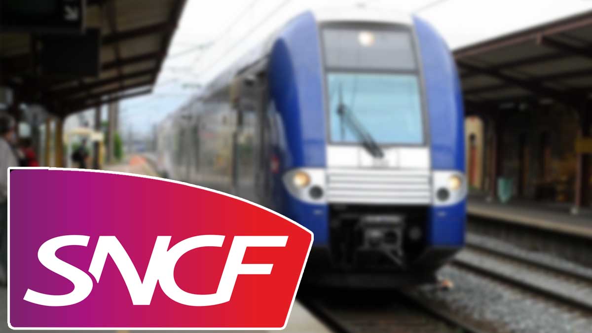 Manque d'humanité de la SNCF : ce client écope d'une amende de 115 € pour avoir payé son billet 4 minutes trop tard