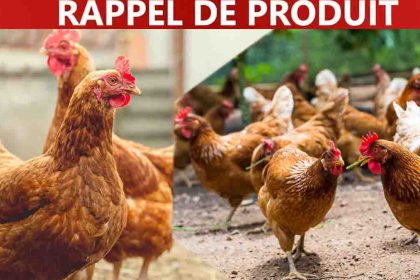 Plats préparés, restauration, grande distribution... Rappel massif de poulet partout en France