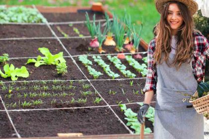 Potager de mai : astuces pratiques pour planter, entretenir et récolter ses légumes-fruits