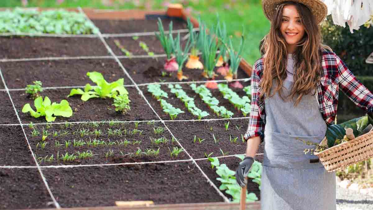 Potager de mai : astuces pratiques pour planter, entretenir et récolter ses légumes-fruits