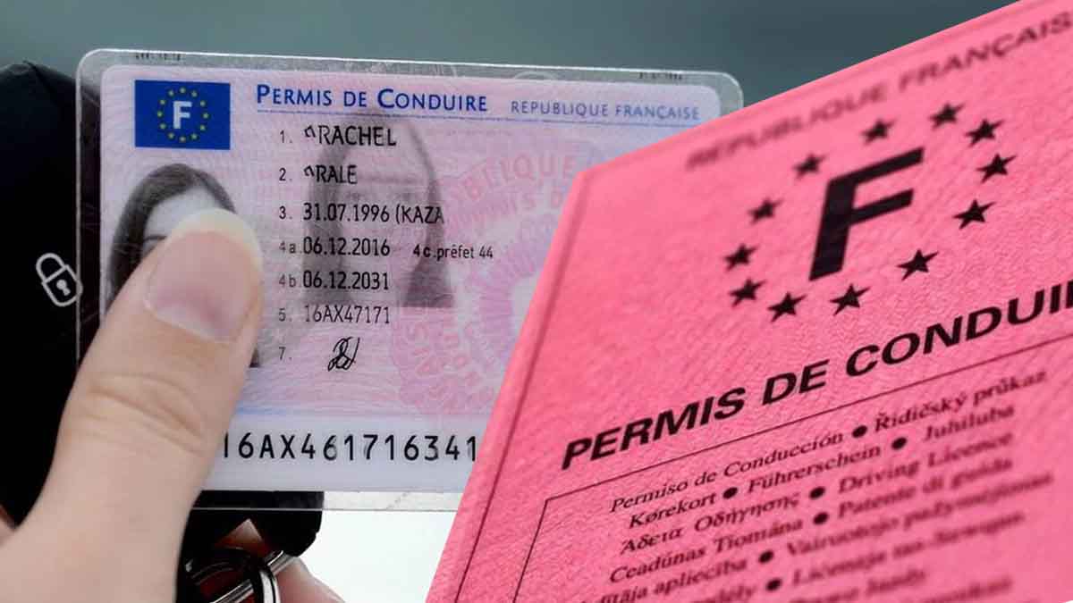 Quel risque pour vous si vous êtes avantagé par ce bug informatique qui empêche les retraits de points de permis depuis novembre 2023 ?