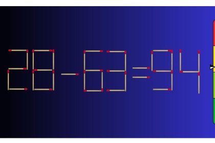 Test QI : ce défi d'allumettes en 2 mouvements qui va longtemps vous triturer les neurones