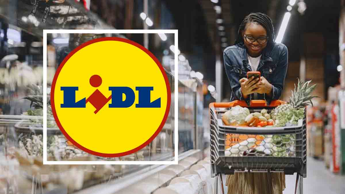 Voici quand vous devez faire vos courses chez Lidl pour faire un maximum d'économies, voici le jour de la semaine à privilégier