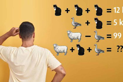 Défi mathématique : serez-vous capable de calculer le poids de ces animaux en 15 secondes ?