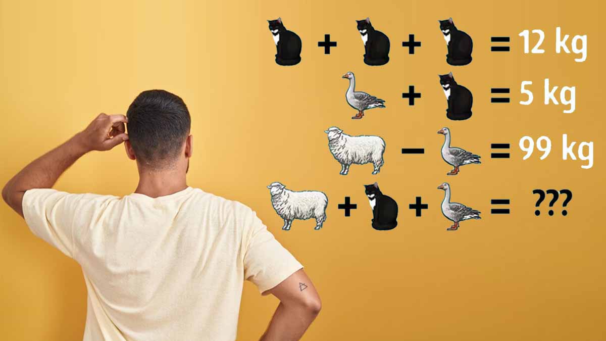 Défi mathématique : serez-vous capable de calculer le poids de ces animaux en 15 secondes ?