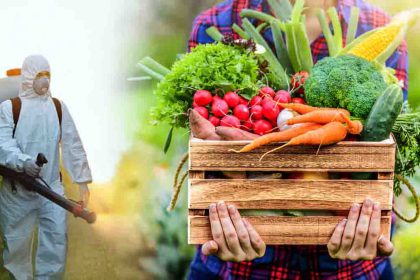 Fruits et légumes bourrés de pesticides : ce pays européen bat tous les records (et ce n'est pas l’Espagne !)