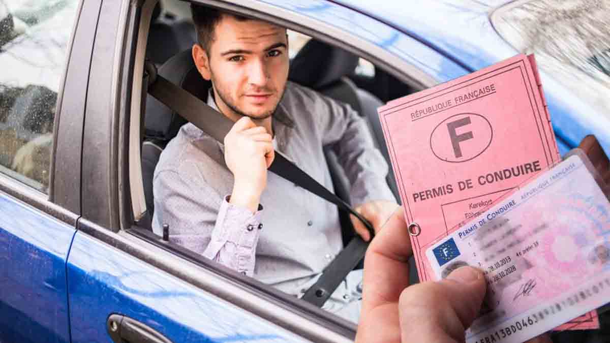 Permis de conduire : cette nouvelle astuce légale pour éviter de perdre des points