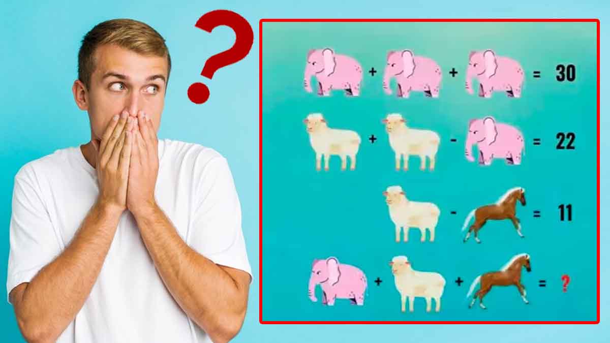 8 secondes pour relever ce challenge à éléphant rose : en serez-vous capables ?