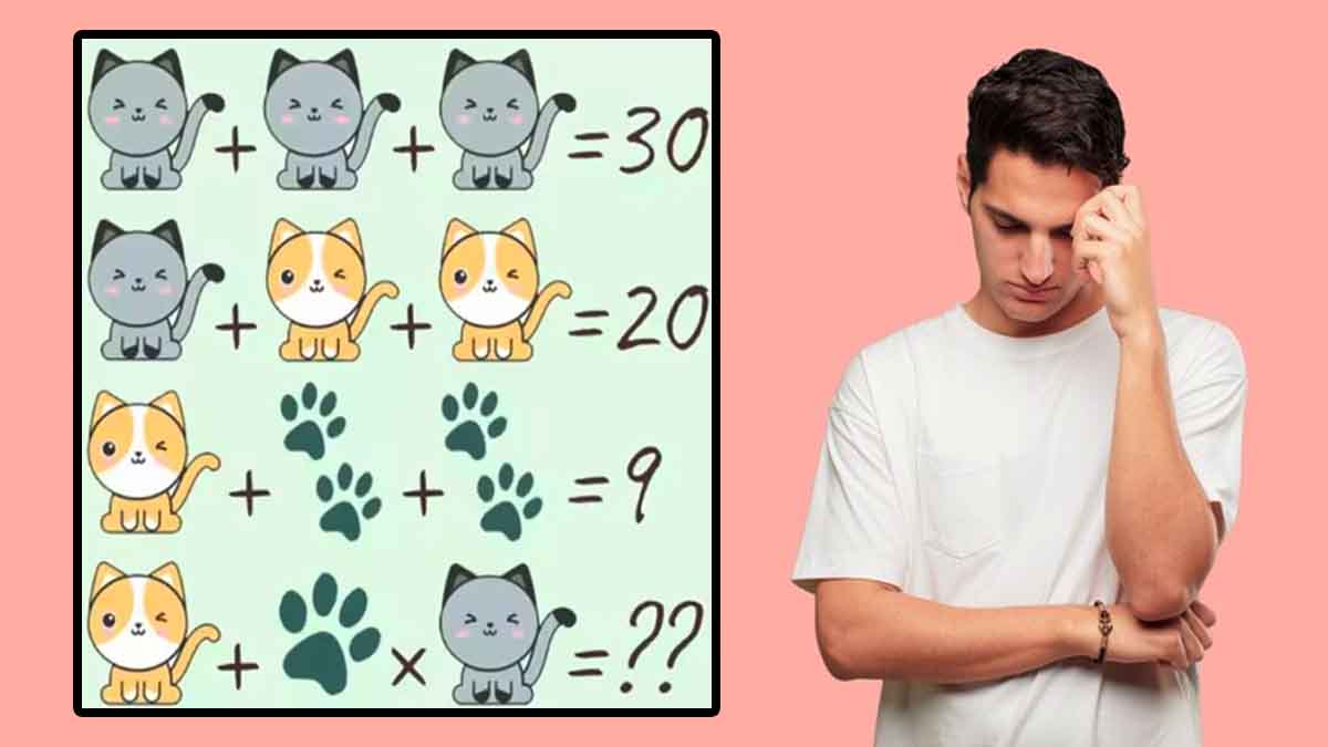 Casse-tête à chaton : vous avez 8 secondes pour résoudre cette énigme, pouvez-vous le faire ?