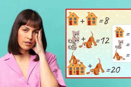 Défi intellectuel : pouvez-vous résoudre cette énigme du chat, du chien et de la maison en 11 secondes chrono ?